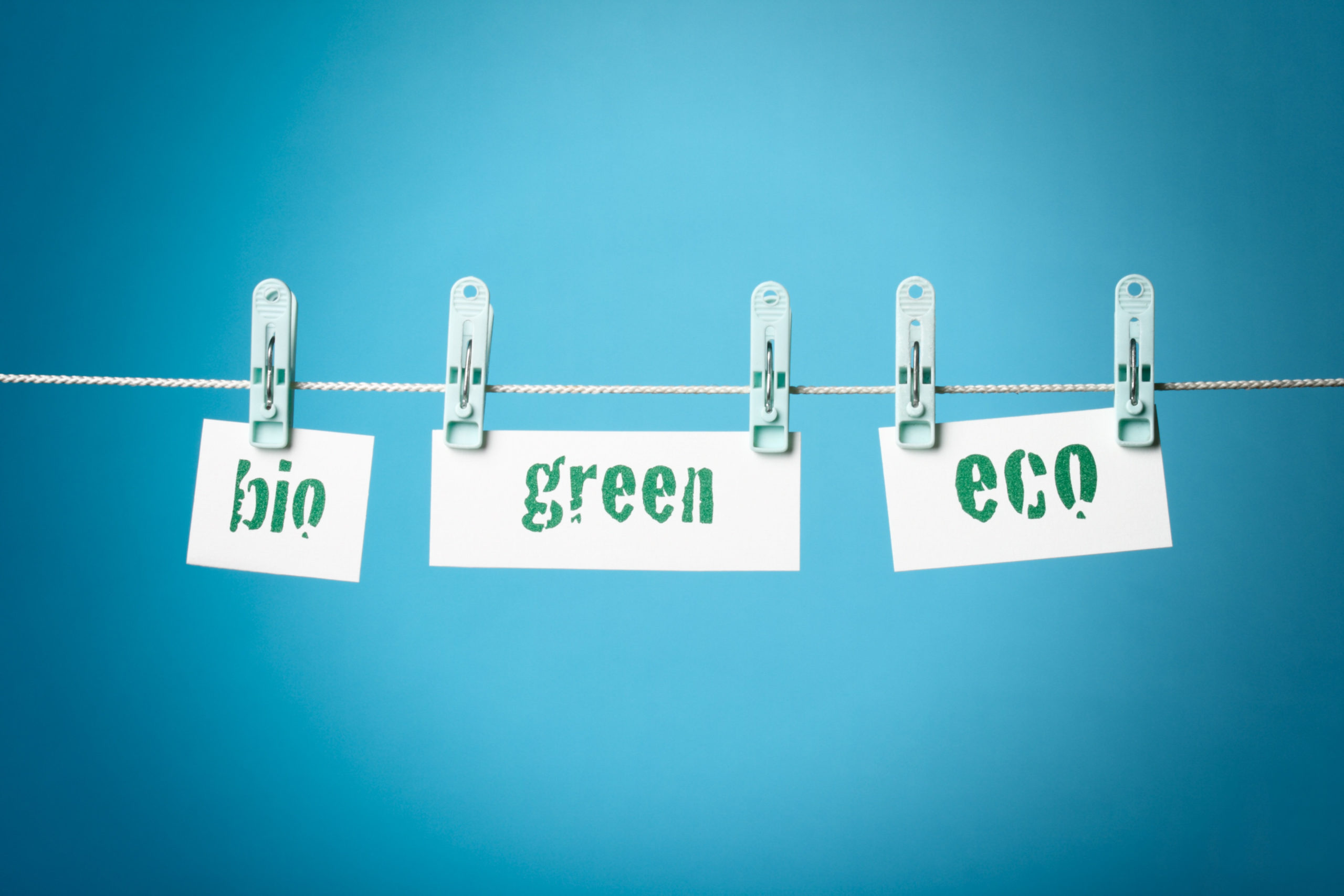 Nachhaltigkeitsfonds: Erfolg gegen Greenwashing